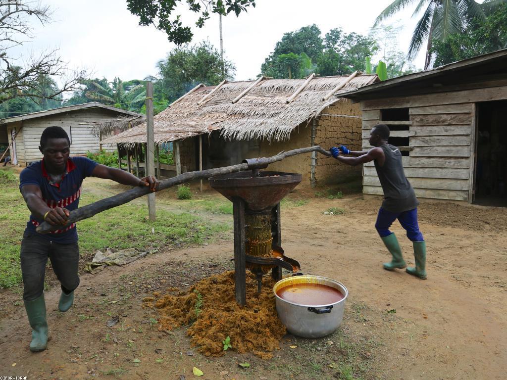 អត្ថប្រយោជន៍នៃប្រាក់បន្ថែម