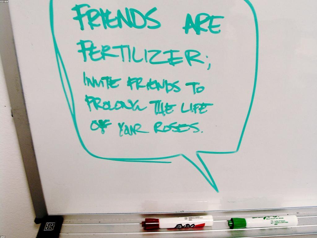 អត្ថប្រយោជន៍នៃប្រាក់បន្ថែម