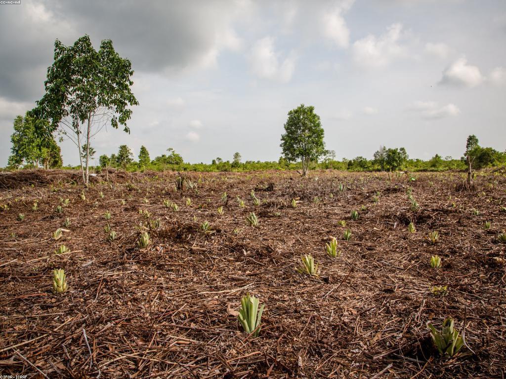 អត្ថប្រយោជន៍នៃប្រាក់បន្ថែម