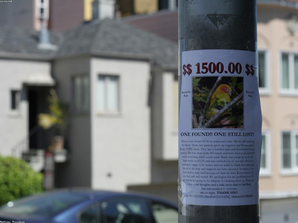 អត្ថប្រយោជន៍នៃប្រាក់បន្ថែម